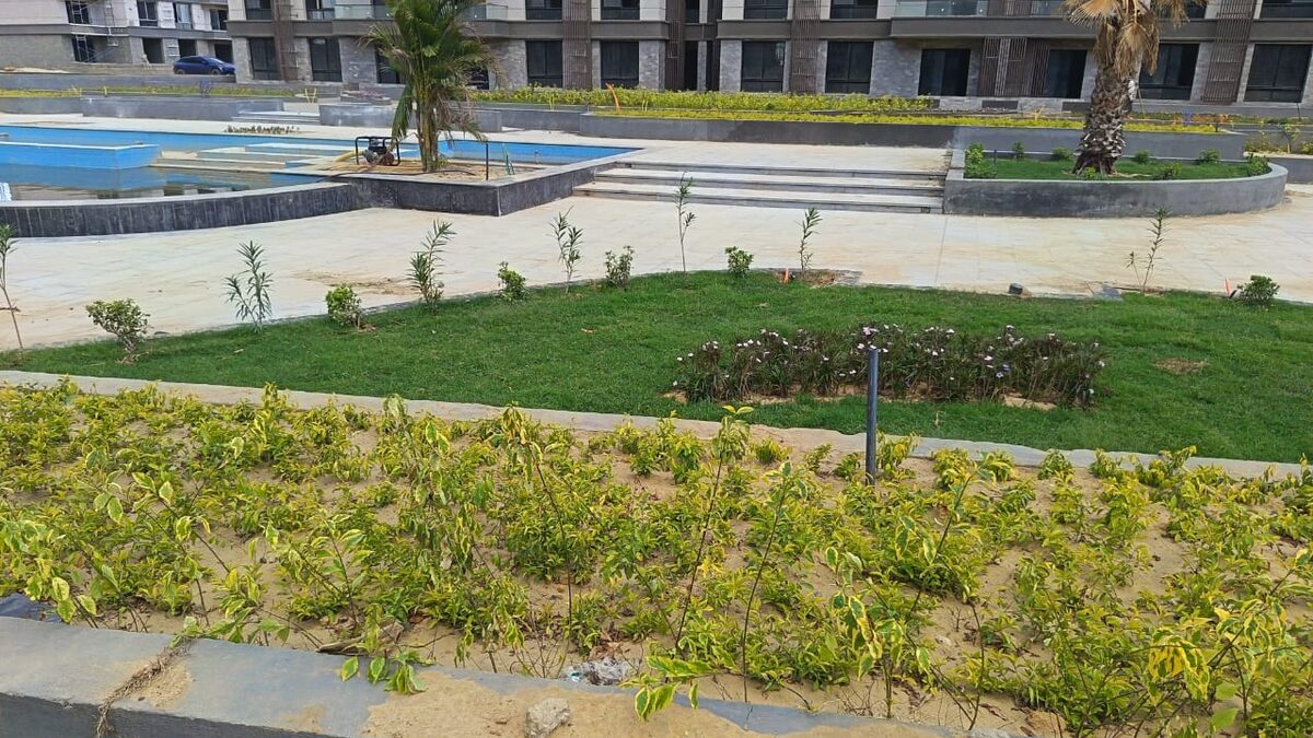 Dejoya Residence · New Zayed