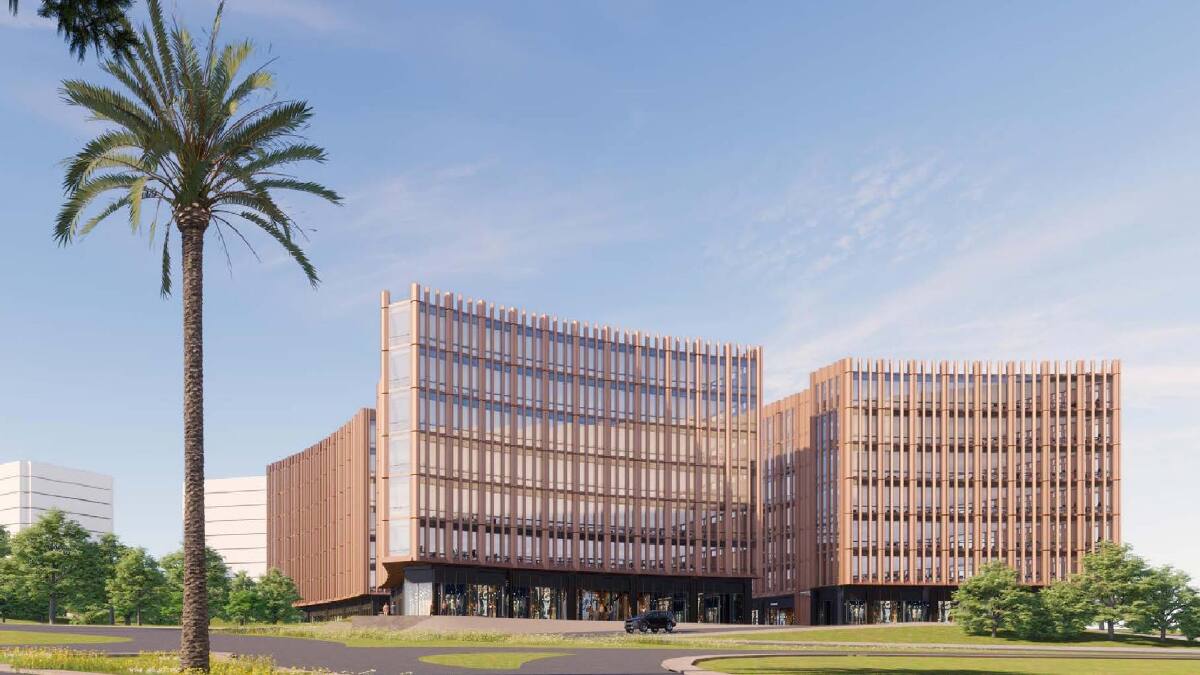 Arkan Palm · 205